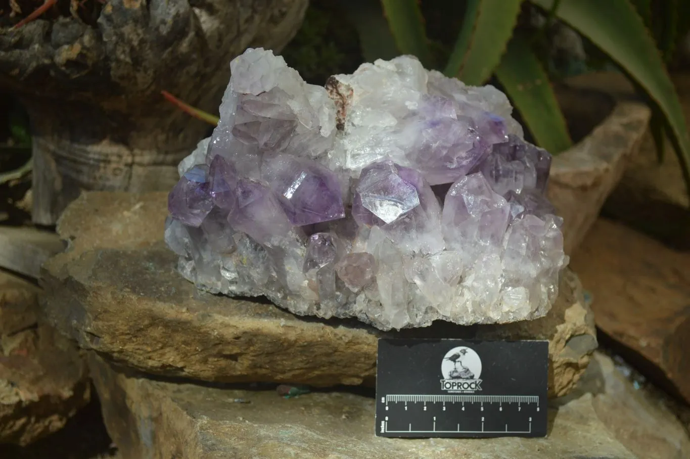 Natural Jacaranda Amethyst Cluster x 1 From Mumbwe, Zambia