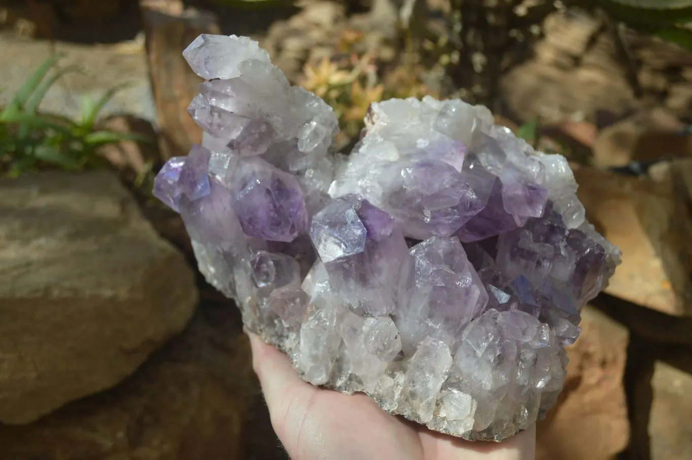 Natural Jacaranda Amethyst Cluster x 1 From Mumbwe, Zambia