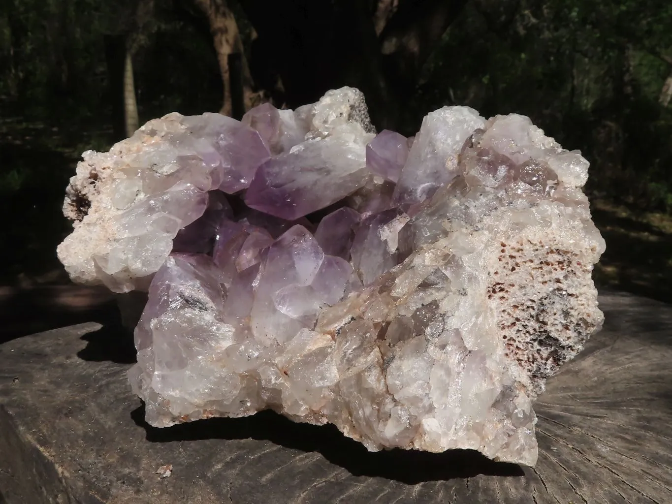 Natural Large Amethyst Crystal Vug Specimen x 1 From Zambia