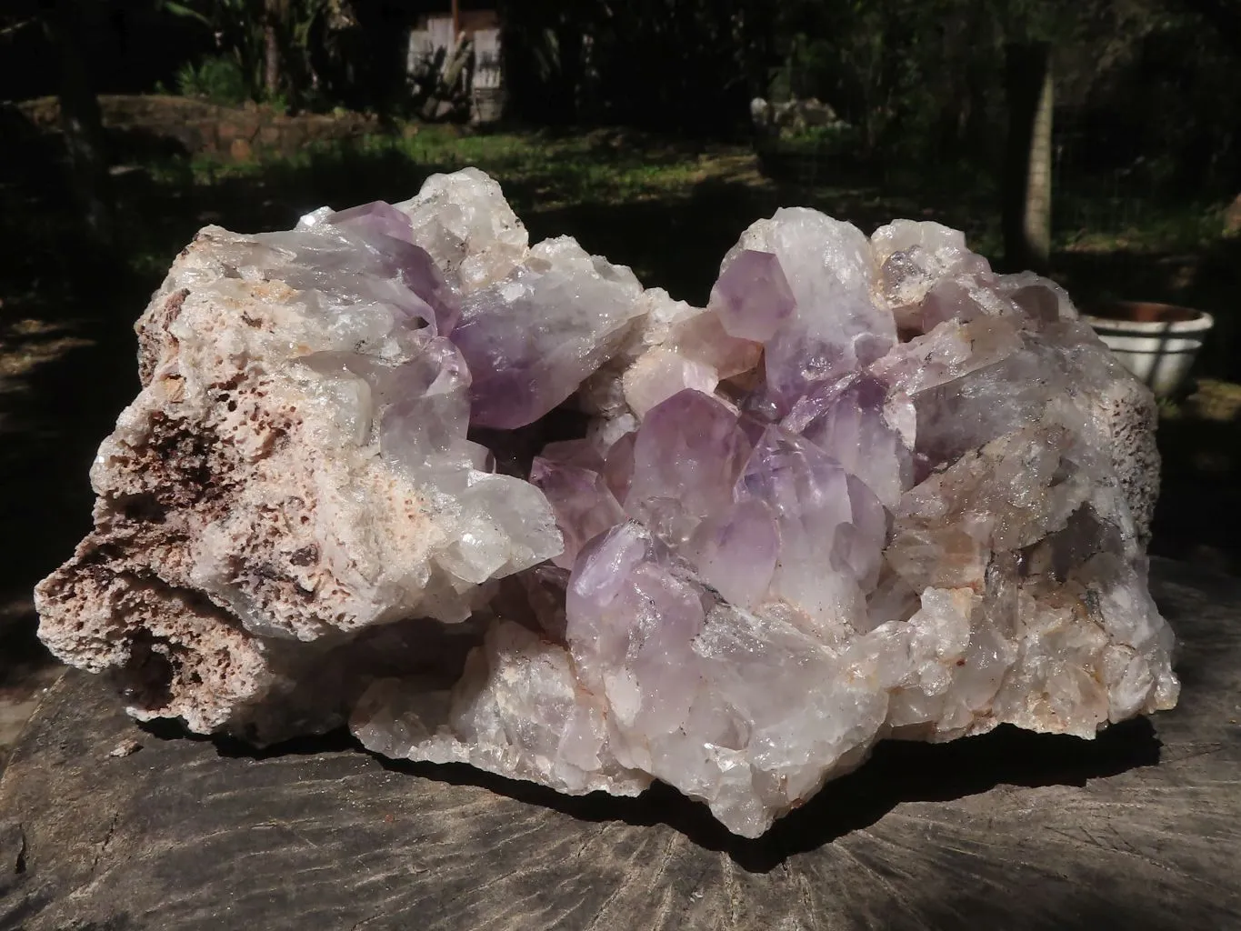 Natural Large Amethyst Crystal Vug Specimen x 1 From Zambia