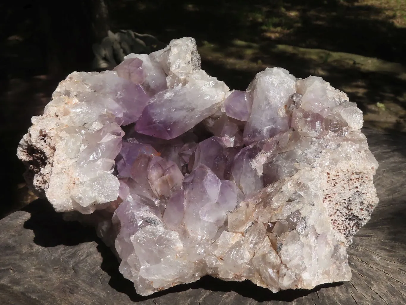 Natural Large Amethyst Crystal Vug Specimen x 1 From Zambia