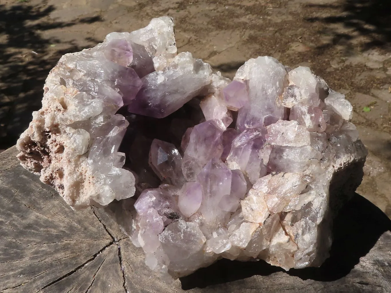 Natural Large Amethyst Crystal Vug Specimen x 1 From Zambia