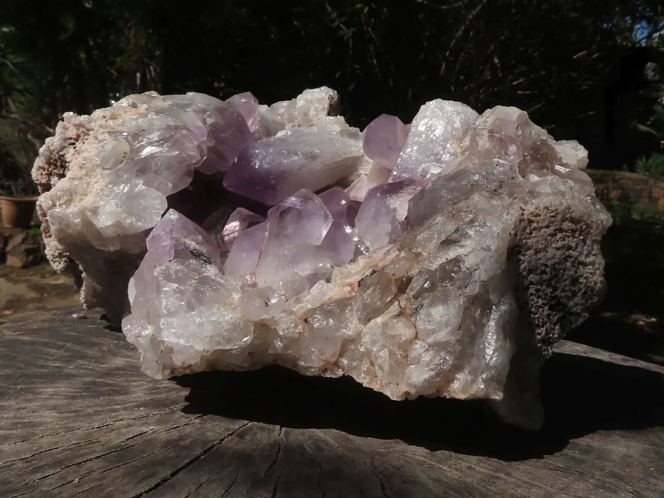 Natural Large Amethyst Crystal Vug Specimen x 1 From Zambia