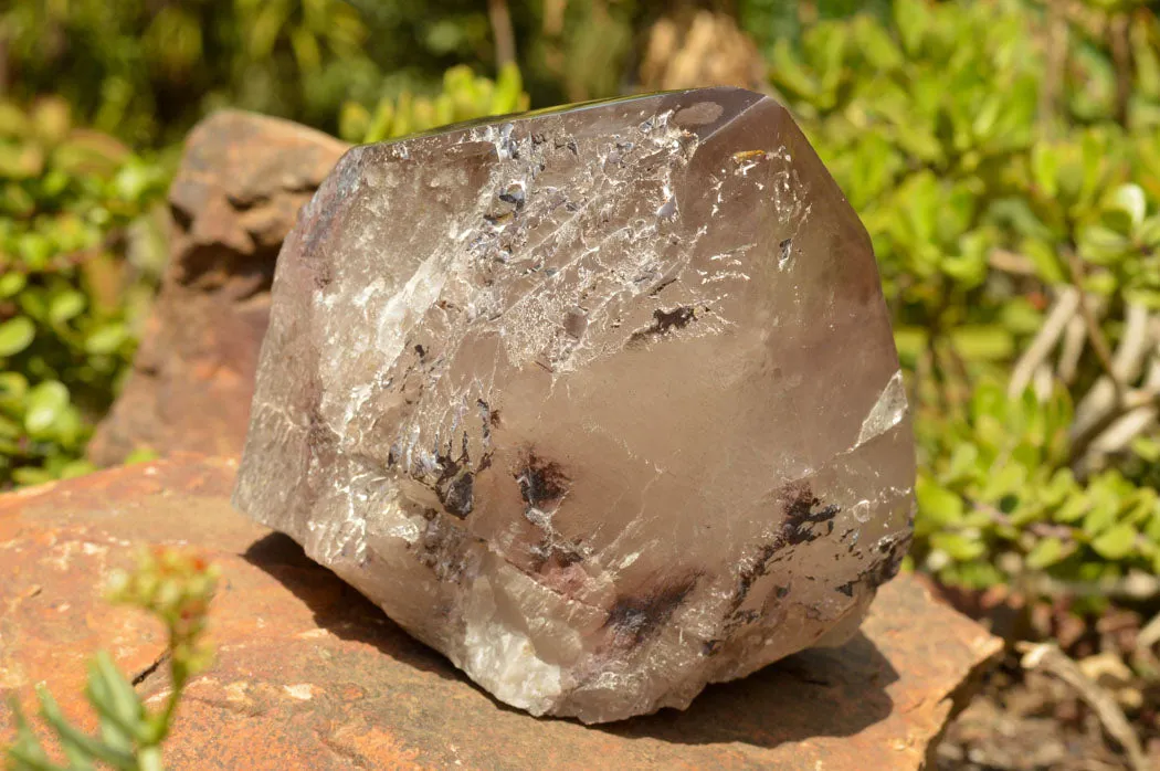 Natural Large Smokey Quartz Floater Crystal With Polished Termination x 1 From Mulanje, Malawi