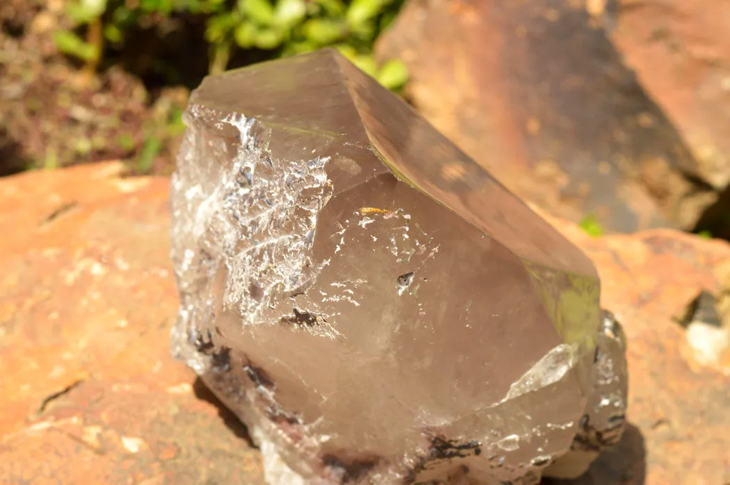 Natural Large Smokey Quartz Floater Crystal With Polished Termination x 1 From Mulanje, Malawi