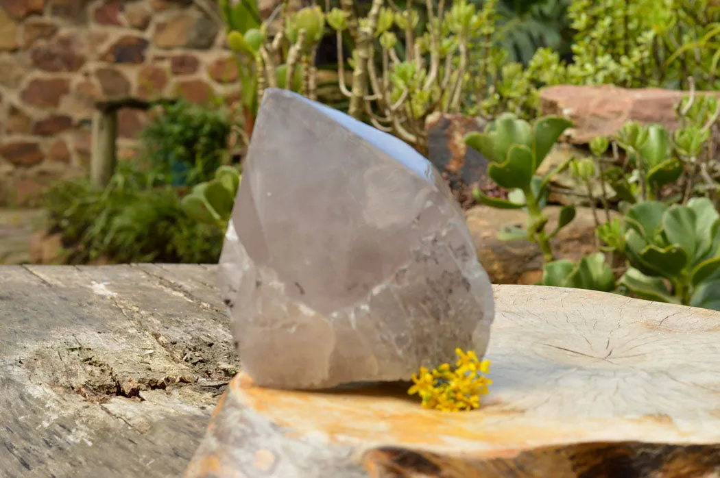 Natural Large Smokey Quartz Floater Crystal With Polished Termination x 1 From Mulanje, Malawi