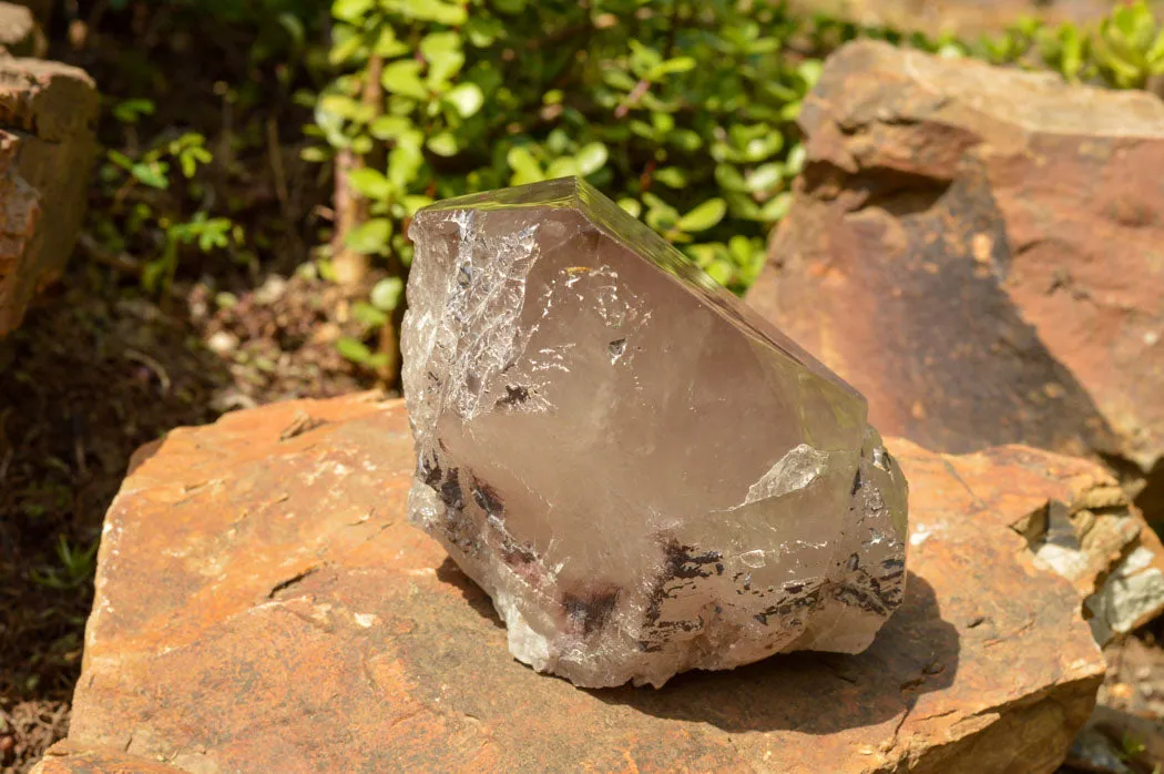 Natural Large Smokey Quartz Floater Crystal With Polished Termination x 1 From Mulanje, Malawi