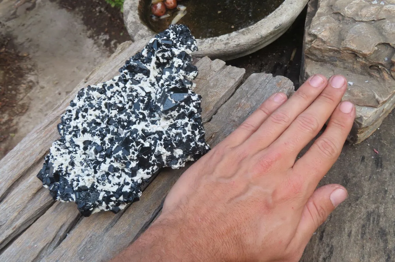 Natural Schorl Black Tourmaline With Feldspar Specimen x 1 From Namibia