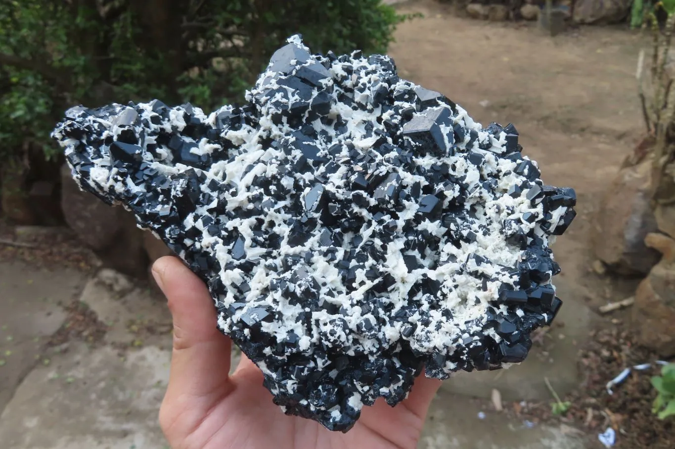 Natural Schorl Black Tourmaline With Feldspar Specimen x 1 From Namibia