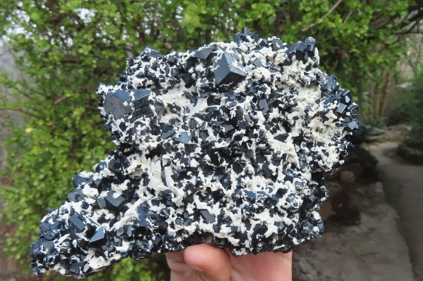 Natural Schorl Black Tourmaline With Feldspar Specimen x 1 From Namibia