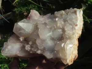 Natural Self Healed Floater Hematoid Quartz Cluster x 1 From Karoi, Zimbabwe