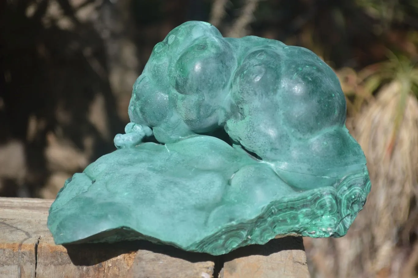 Natural Silky Botryoidal Malachite Specimen  x 1 From Kasompe, Congo