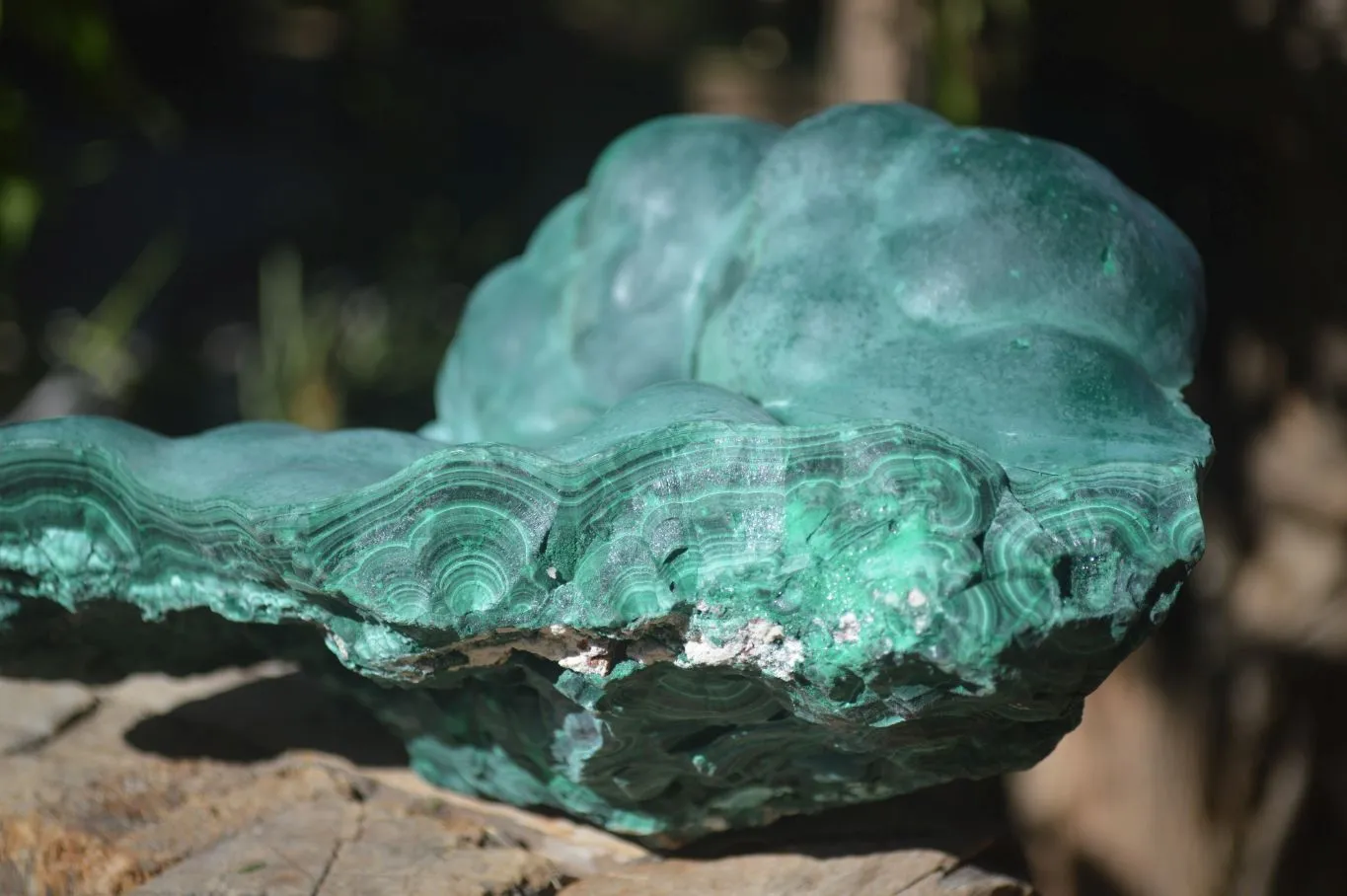 Natural Silky Botryoidal Malachite Specimen  x 1 From Kasompe, Congo