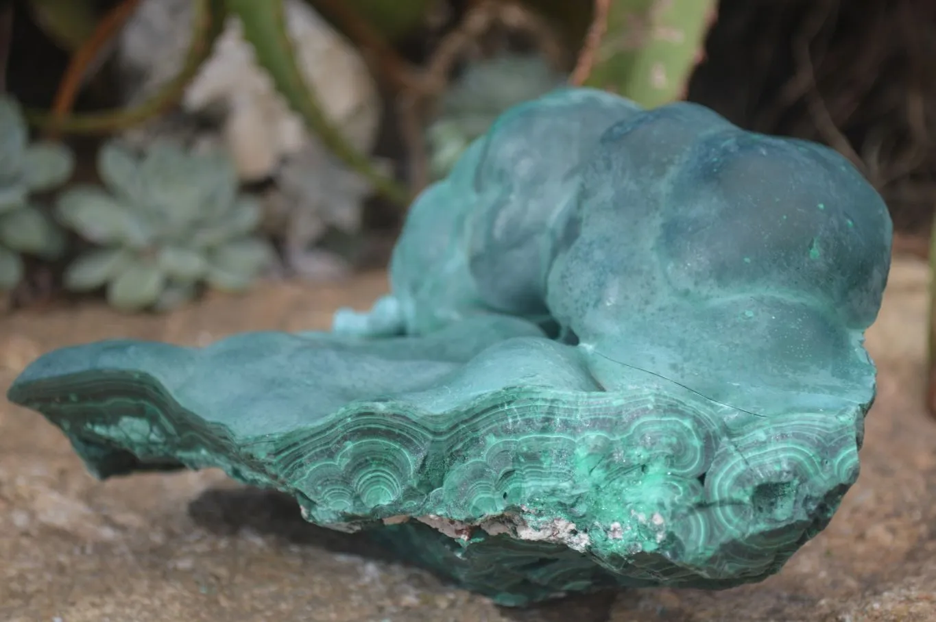 Natural Silky Botryoidal Malachite Specimen  x 1 From Kasompe, Congo