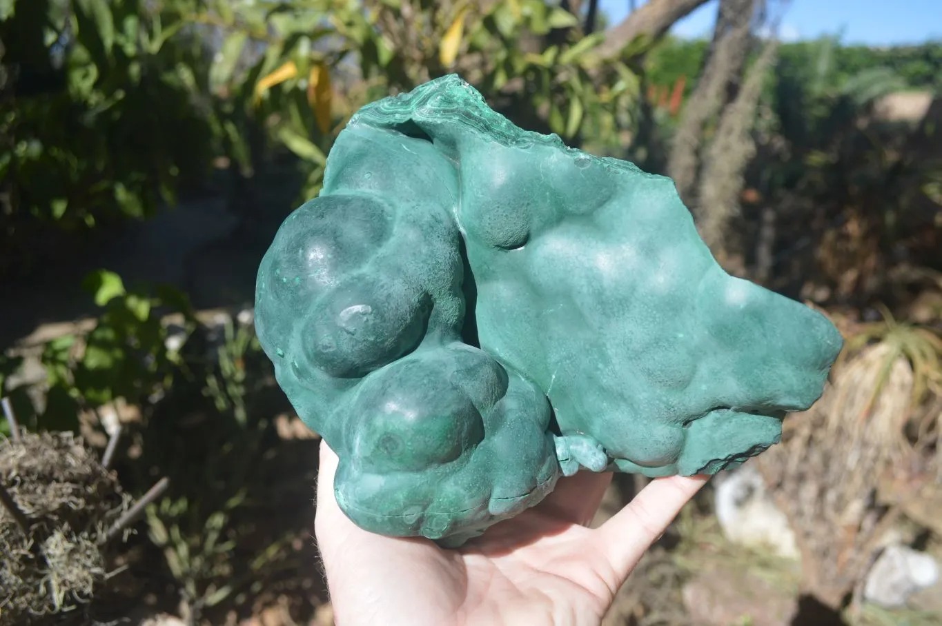 Natural Silky Botryoidal Malachite Specimen  x 1 From Kasompe, Congo