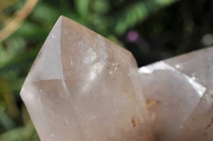 Natural Triple Terminated Arcadian Quartz Crystal x 1 From Angola