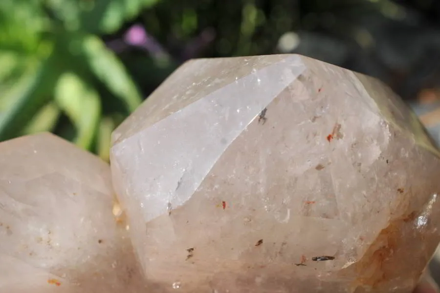 Natural Triple Terminated Arcadian Quartz Crystal x 1 From Angola