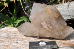 Natural Triple Terminated Arcadian Quartz Crystal x 1 From Angola