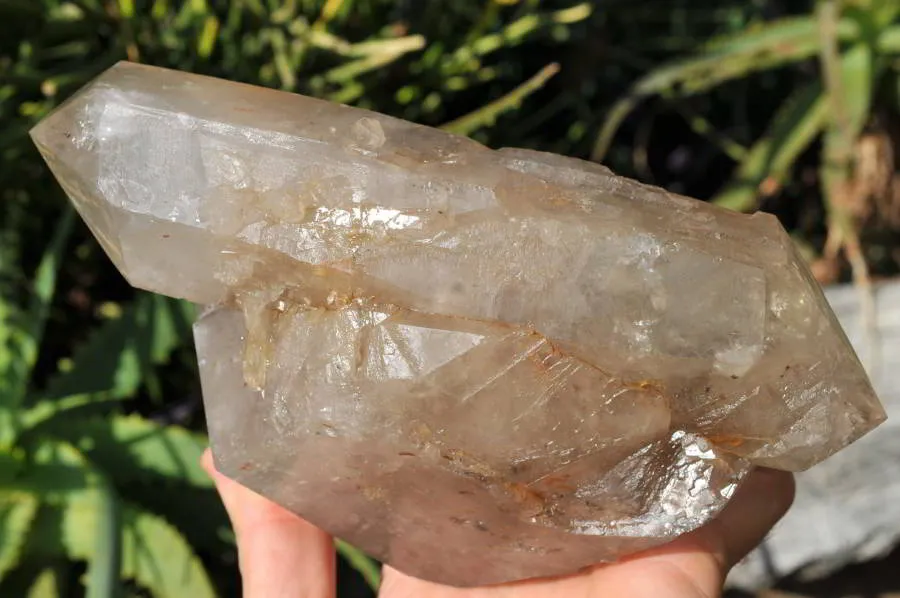 Natural Triple Terminated Arcadian Quartz Crystal x 1 From Angola