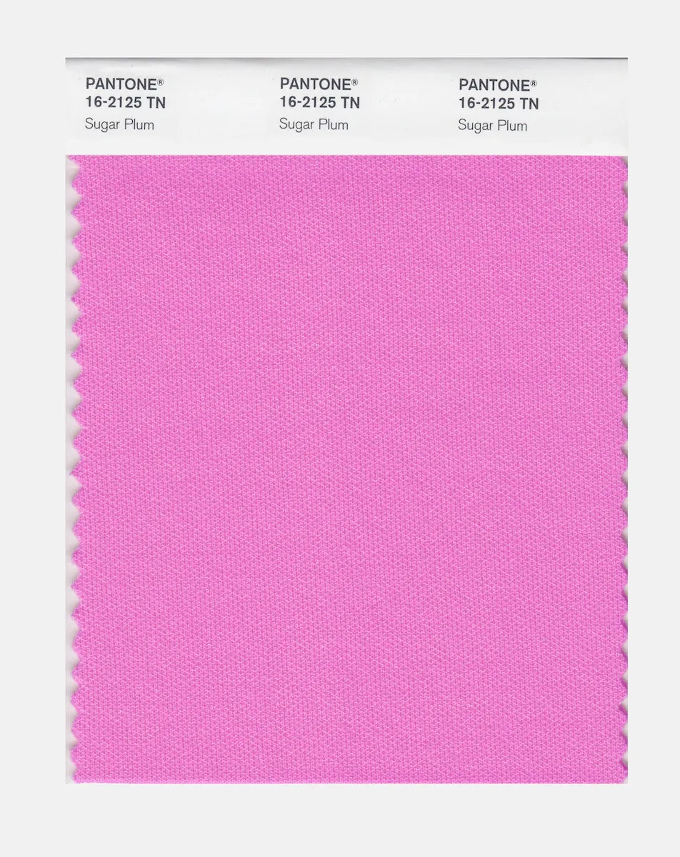 Pantone Nylon Brights Swatch Card 16-2125 TCX (Sugar Plum)