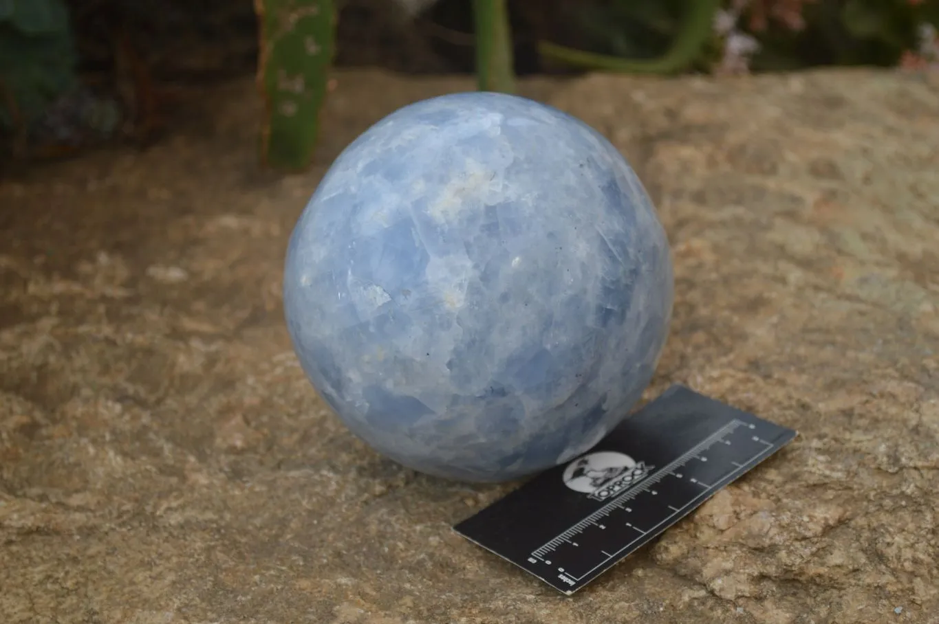 Polished Blue Calcite Sphere  x 1 From Madagascar