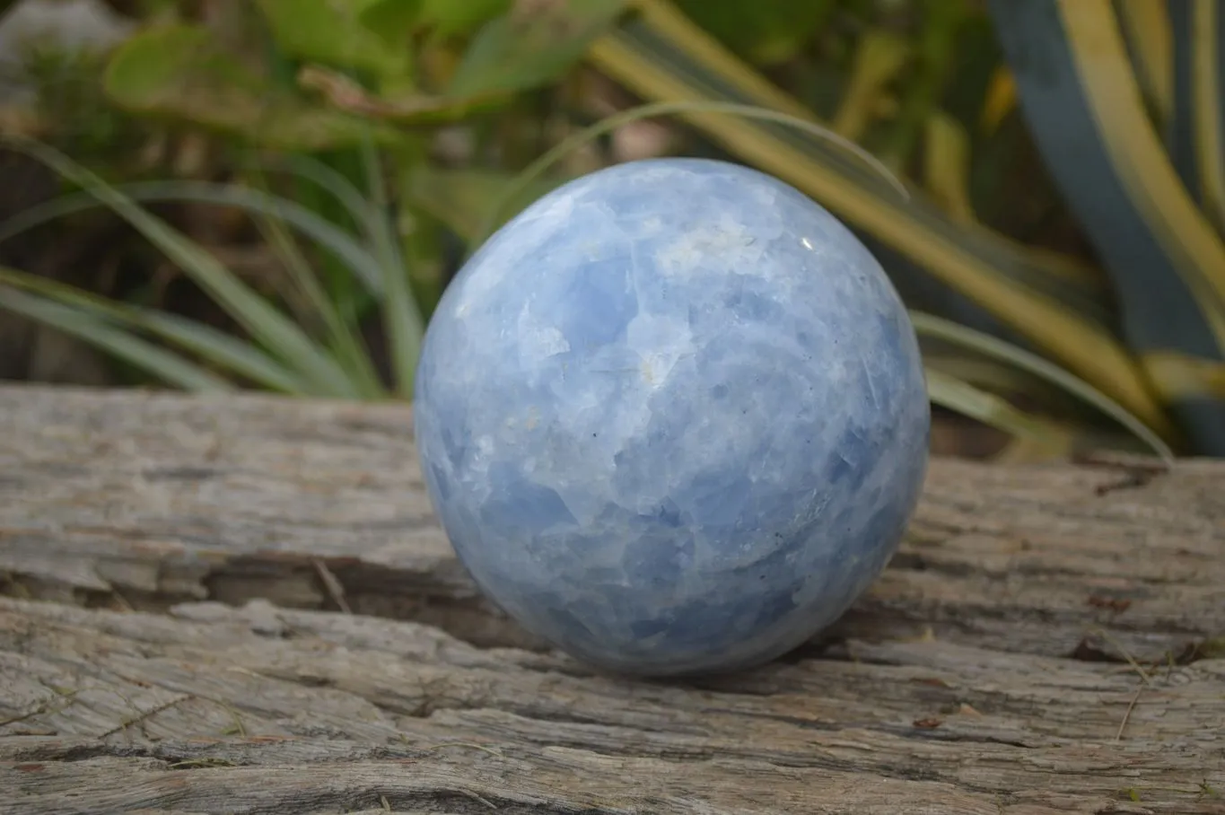 Polished Blue Calcite Sphere  x 1 From Madagascar