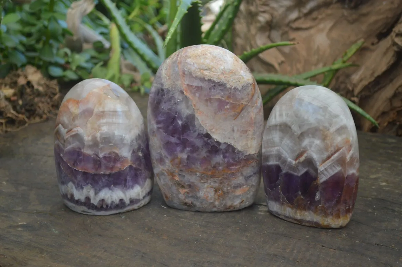 Polished Chevron Amethyst Standing Free Forms x 3 From Madagascar