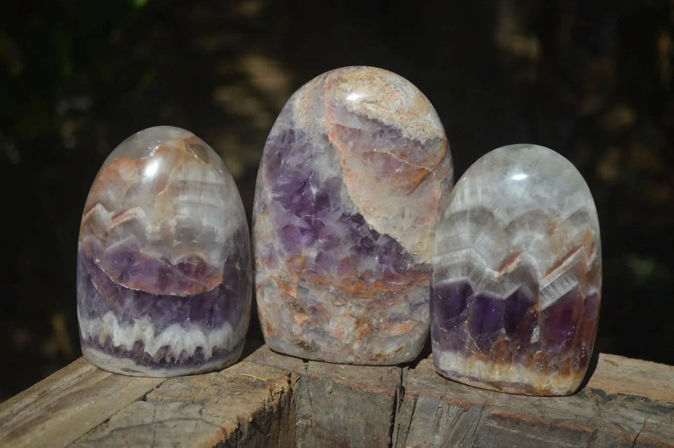 Polished Chevron Amethyst Standing Free Forms x 3 From Madagascar