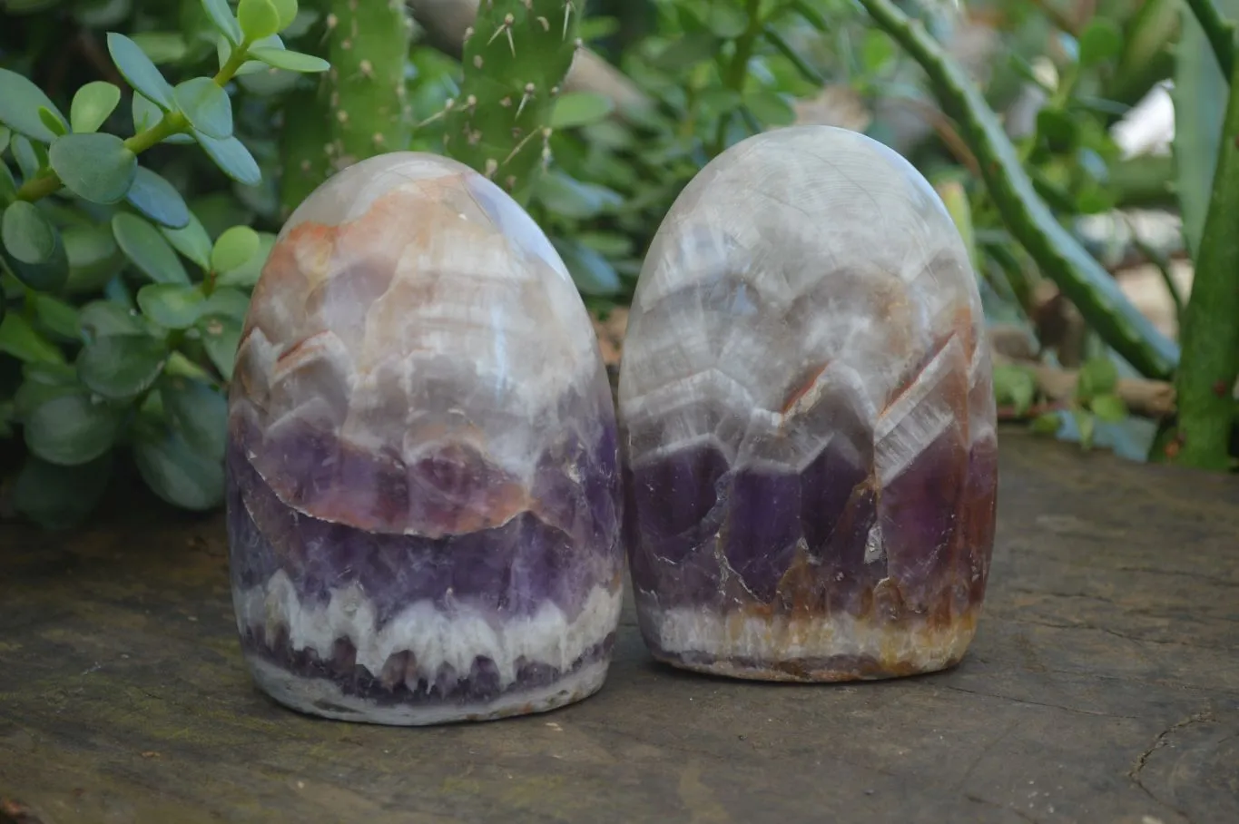 Polished Chevron Amethyst Standing Free Forms x 3 From Madagascar