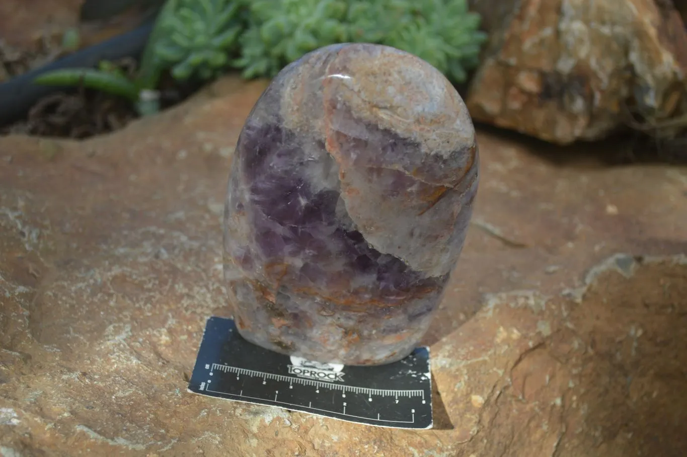 Polished Chevron Amethyst Standing Free Forms x 3 From Madagascar