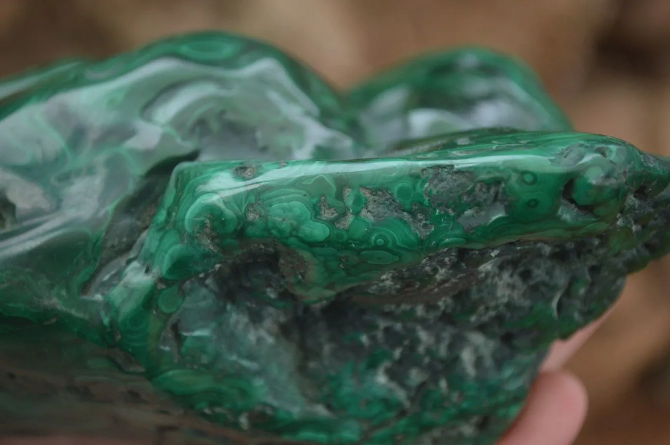 Polished  Large Malachite Free Form With Flower Ring Patterns  x 1 From Congo