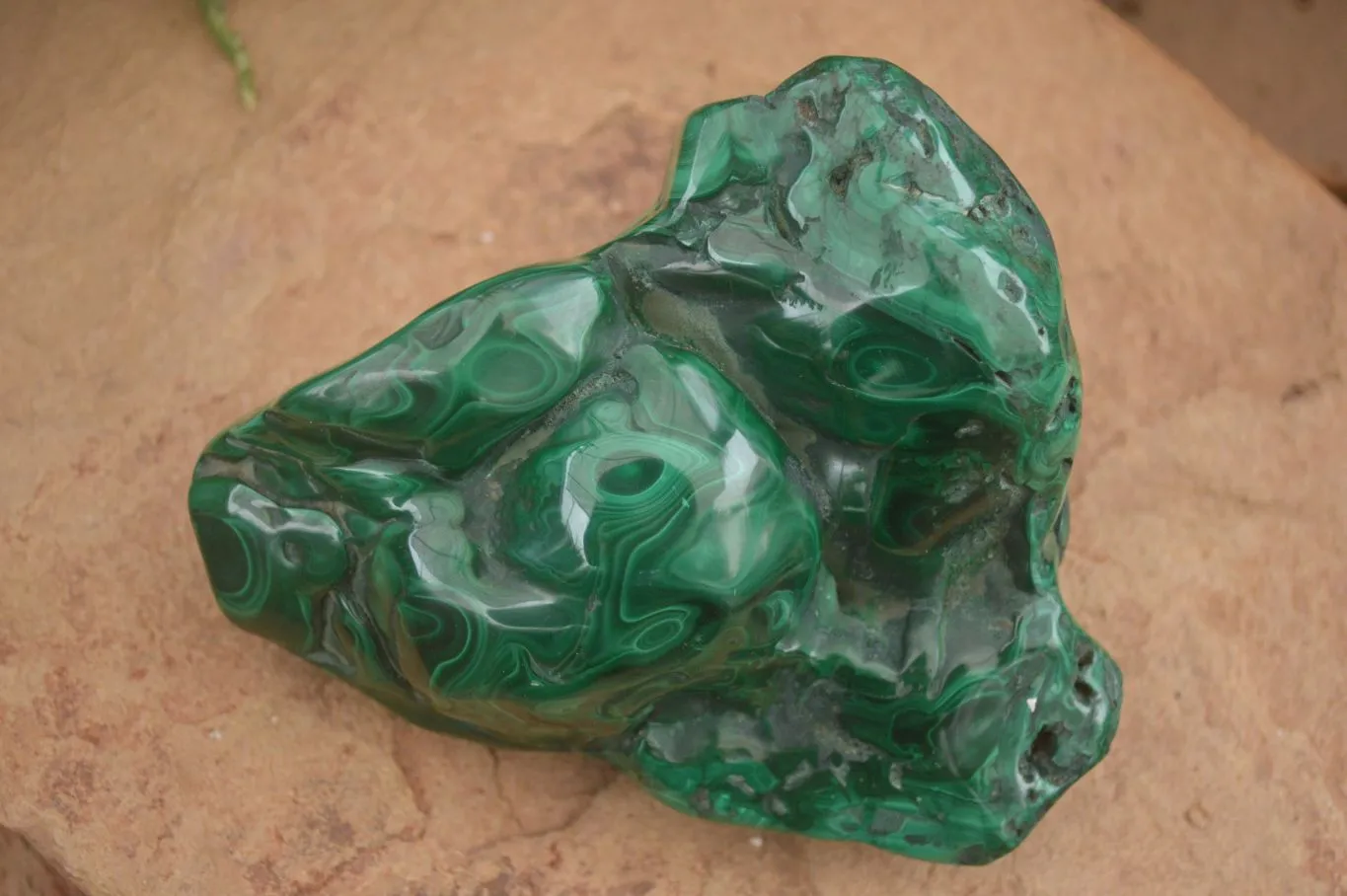 Polished  Large Malachite Free Form With Flower Ring Patterns  x 1 From Congo