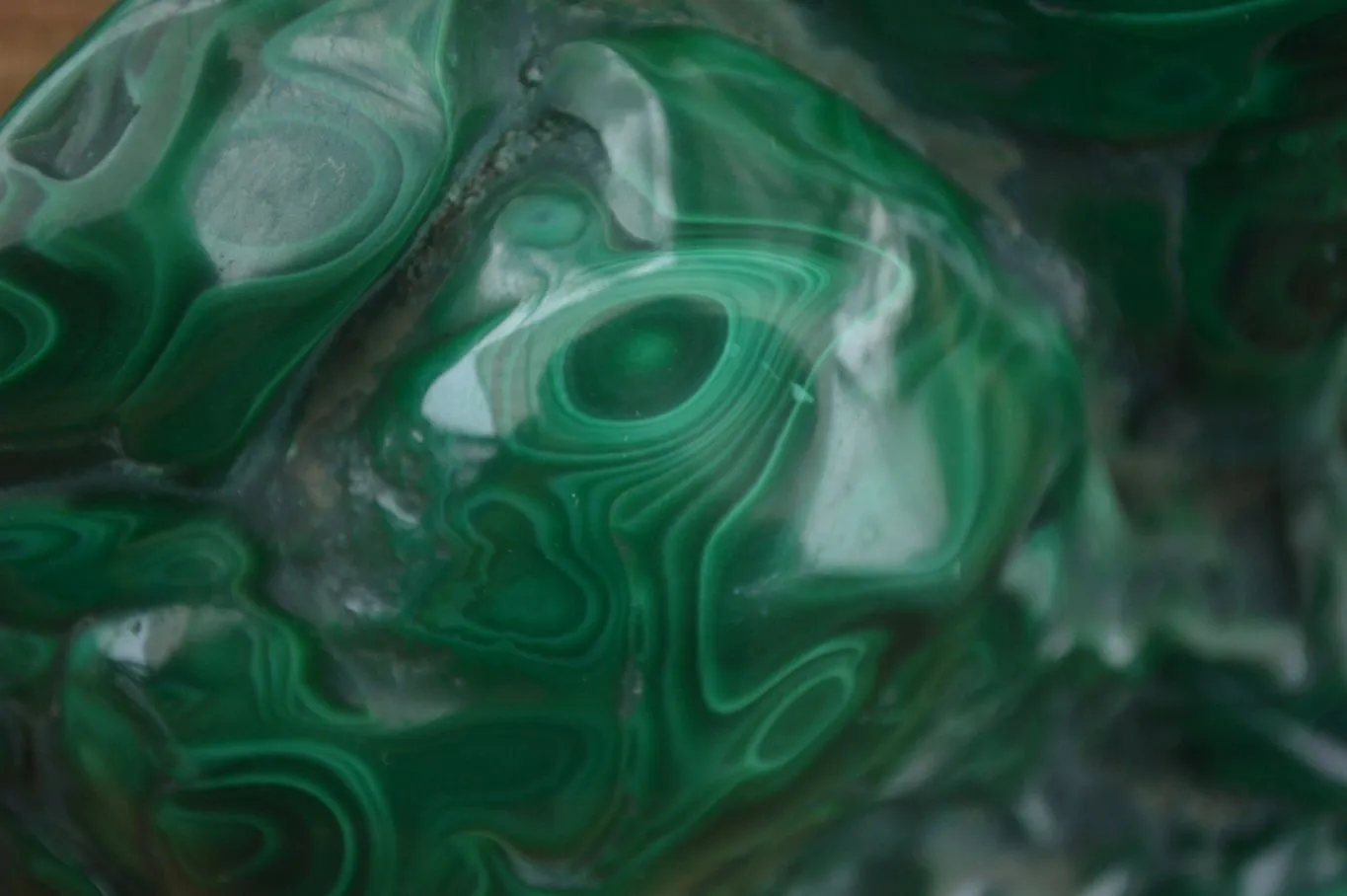 Polished  Large Malachite Free Form With Flower Ring Patterns  x 1 From Congo