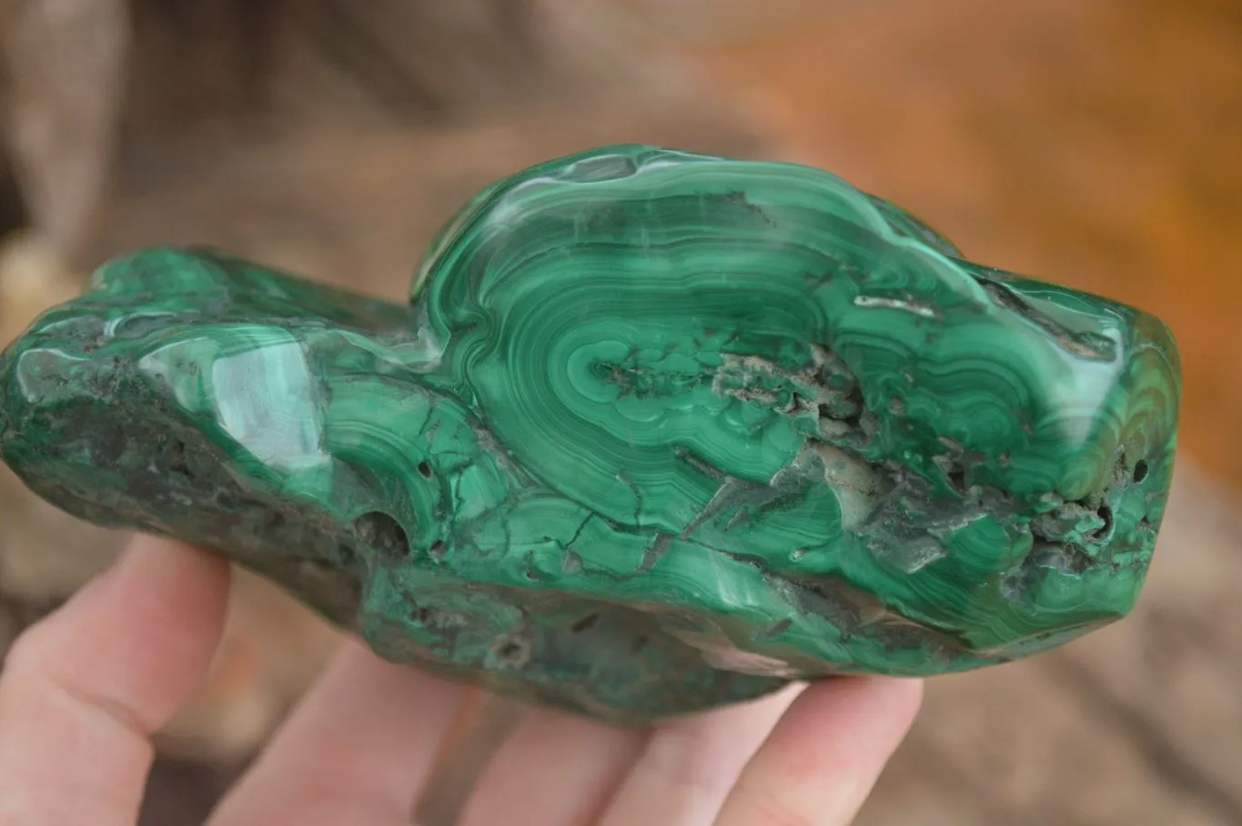 Polished  Large Malachite Free Form With Flower Ring Patterns  x 1 From Congo