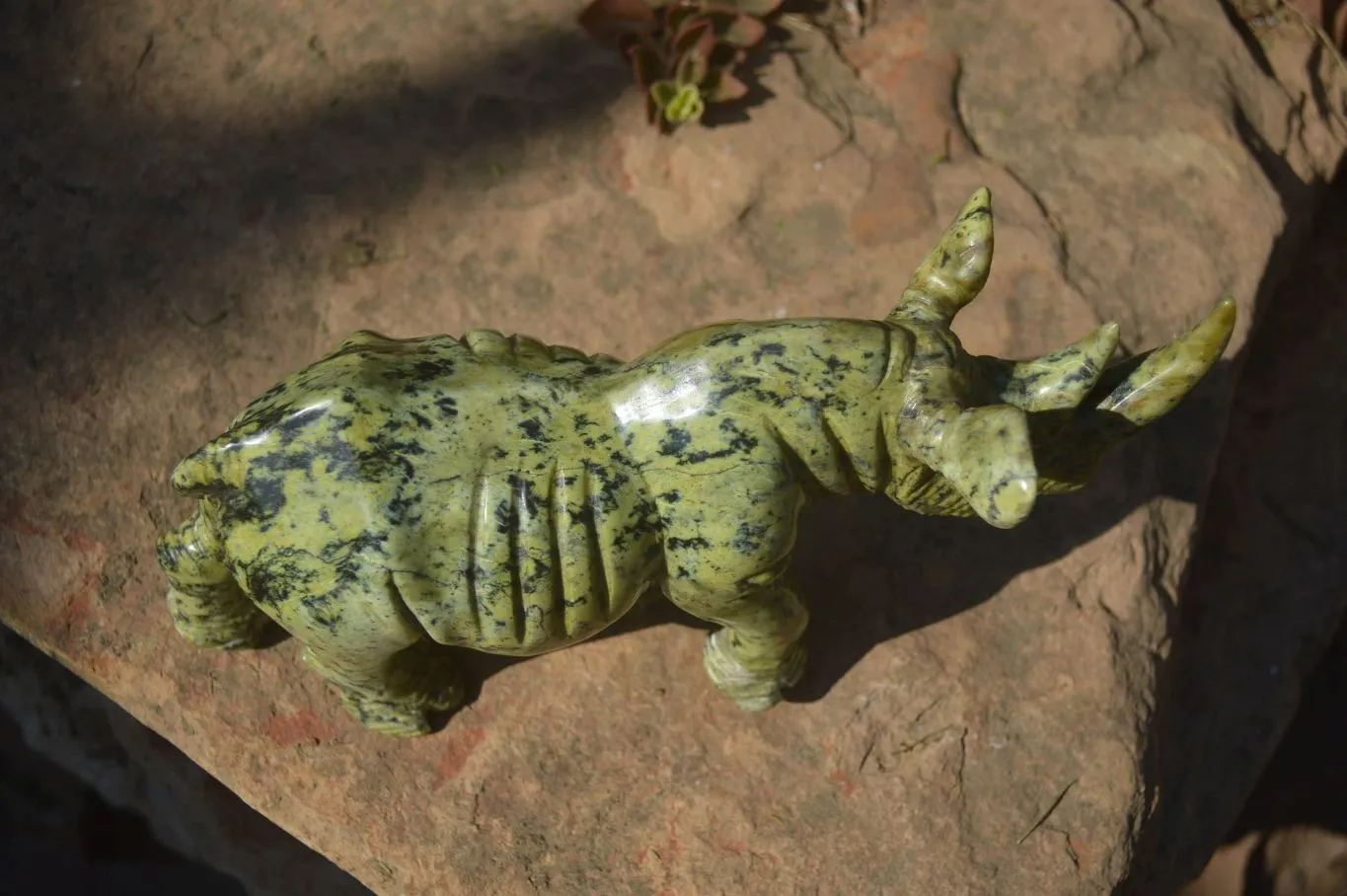 Polished Leopard Stone Rhino Carving x 1 From Zimbabwe