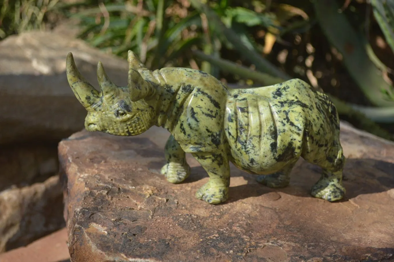 Polished Leopard Stone Rhino Carving x 1 From Zimbabwe