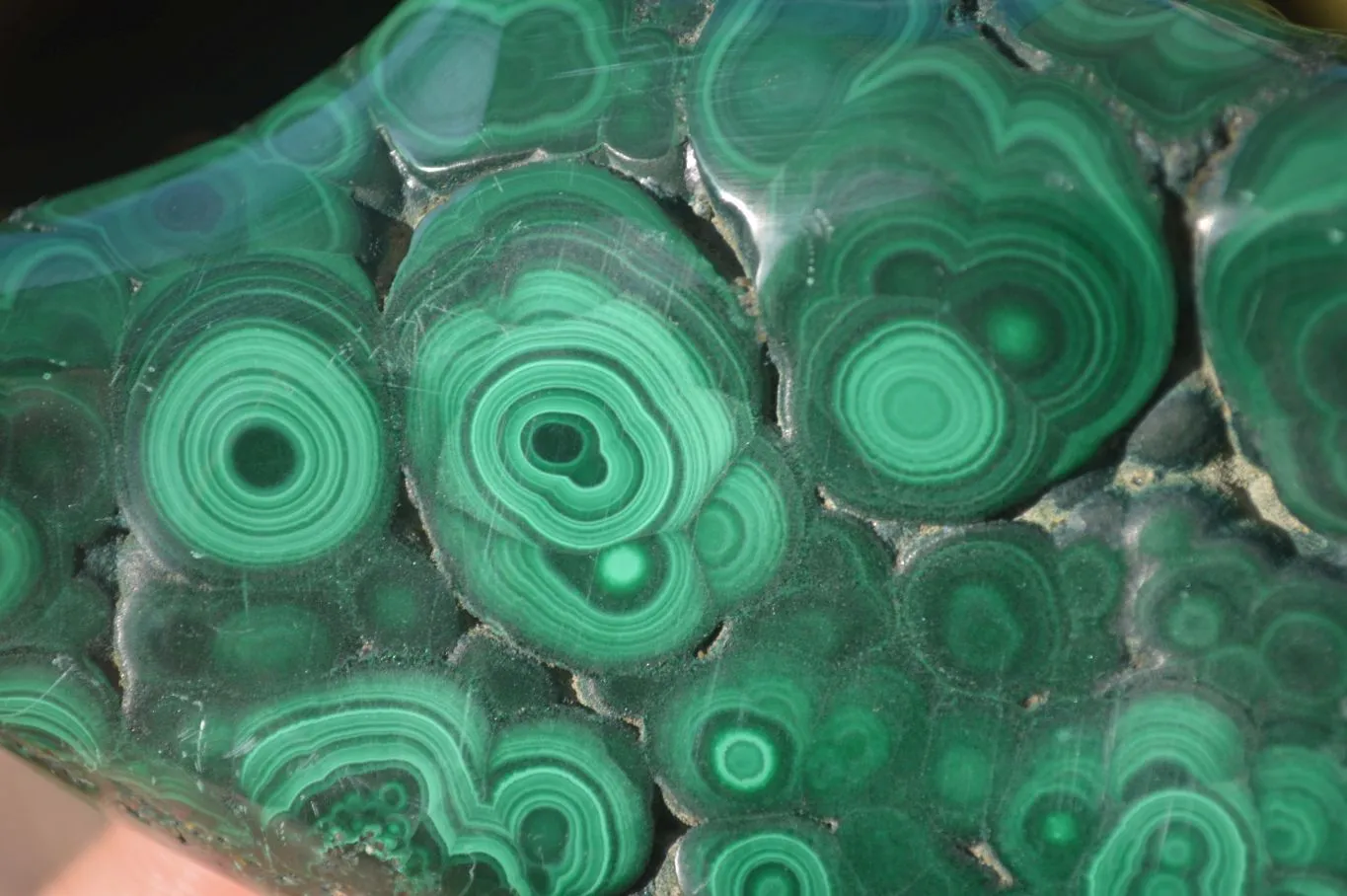 Polished Malachite Free Form x 1 From Kolwezi, Congo