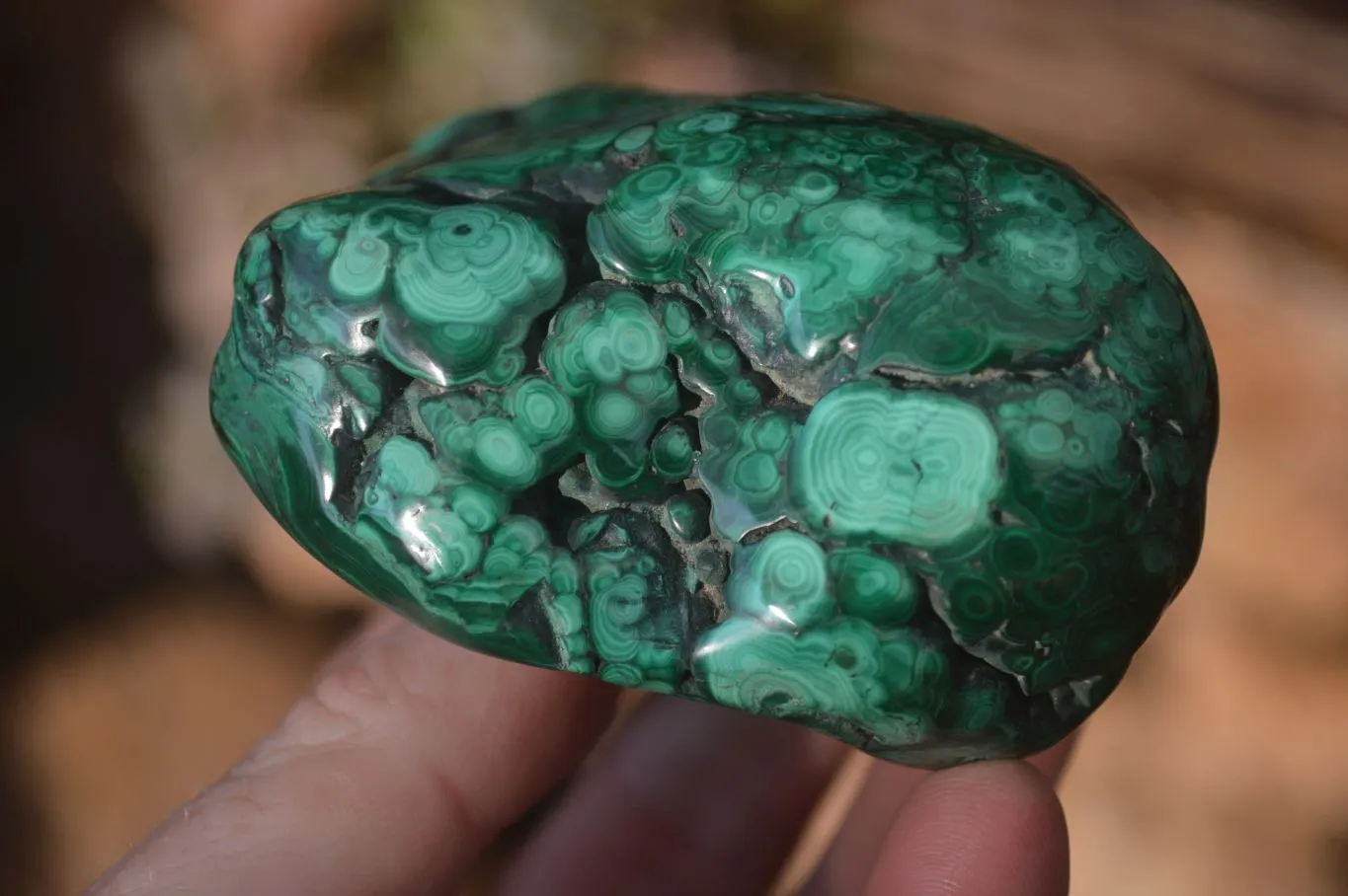 Polished Malachite Free Form x 1 From Kolwezi, Congo