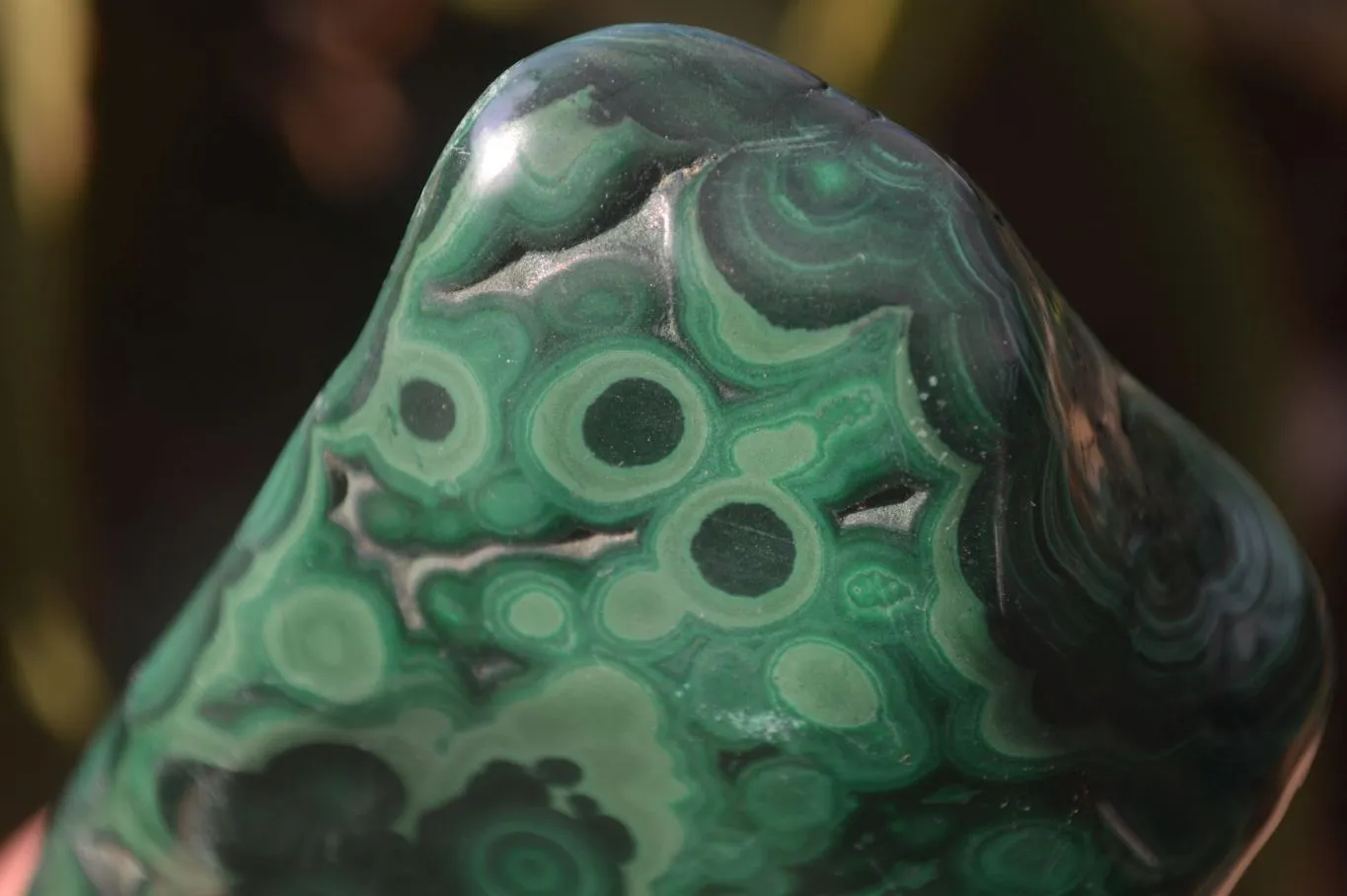 Polished Malachite Free Form x 1 From Kolwezi, Congo