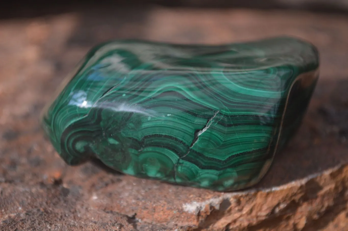 Polished Malachite Free Form x 1 From Kolwezi, Congo