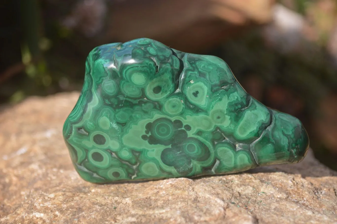 Polished Malachite Free Form x 1 From Kolwezi, Congo