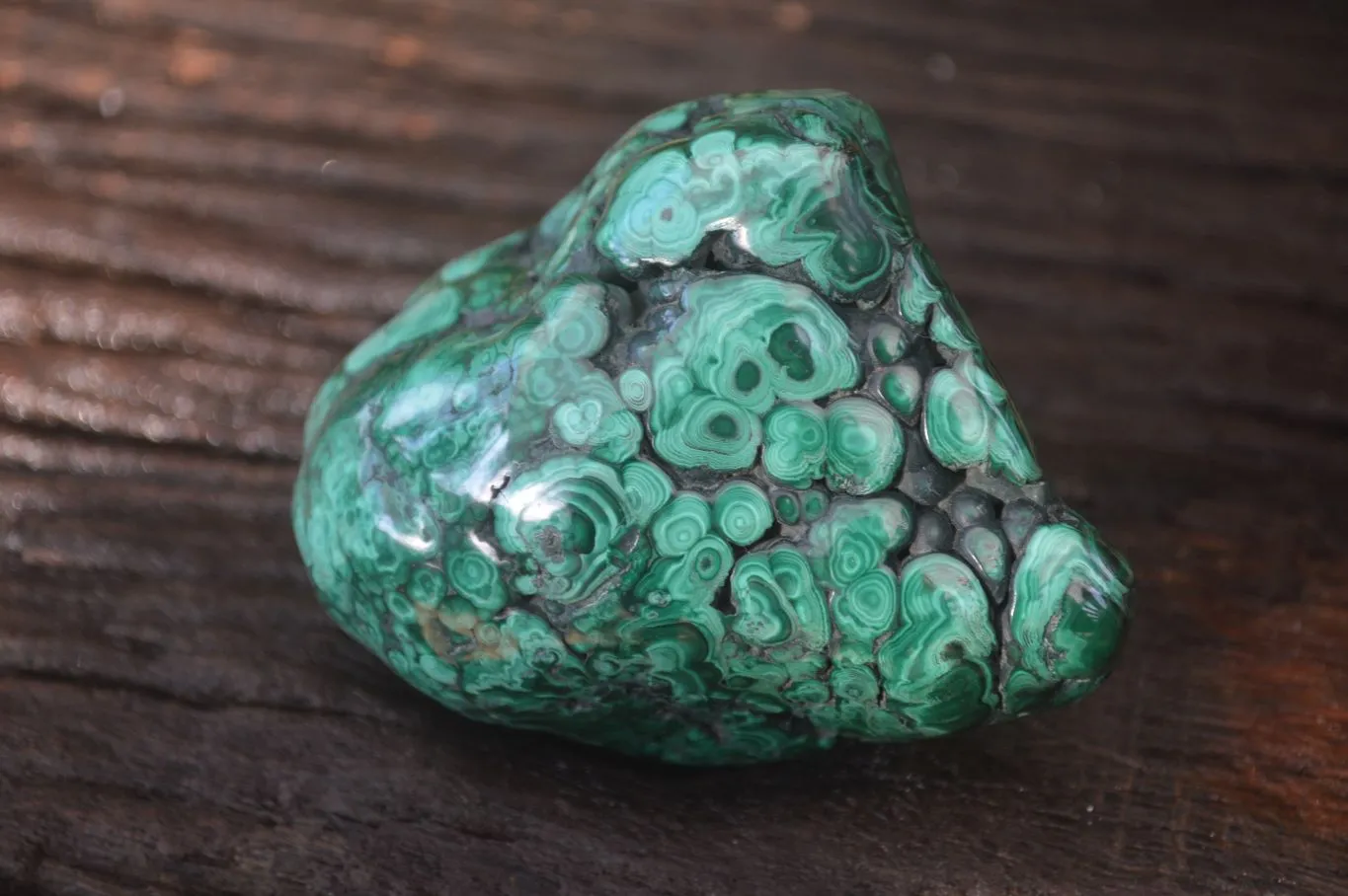 Polished Malachite Free Form x 1 From Kolwezi, Congo