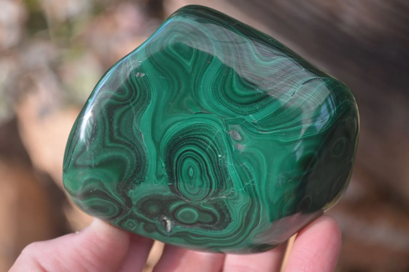 Polished Malachite Free Form x 1 From Kolwezi, Congo