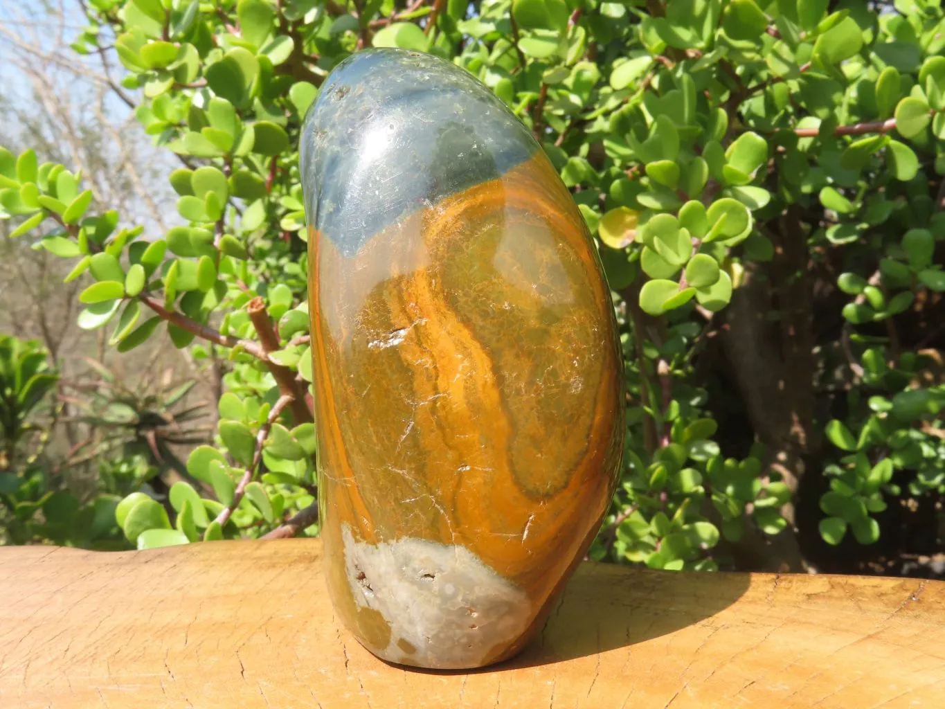 Polished Ocean Jasper Standing Free Form x 1 From Madagascar