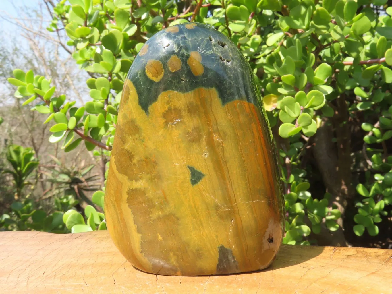 Polished Ocean Jasper Standing Free Form x 1 From Madagascar