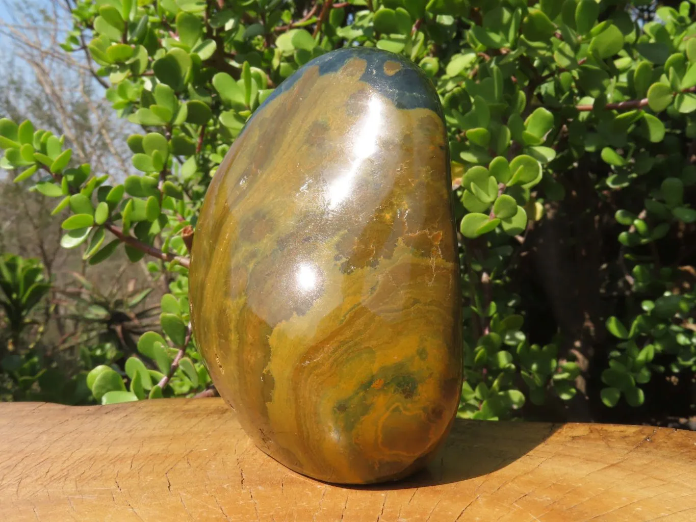 Polished Ocean Jasper Standing Free Form x 1 From Madagascar