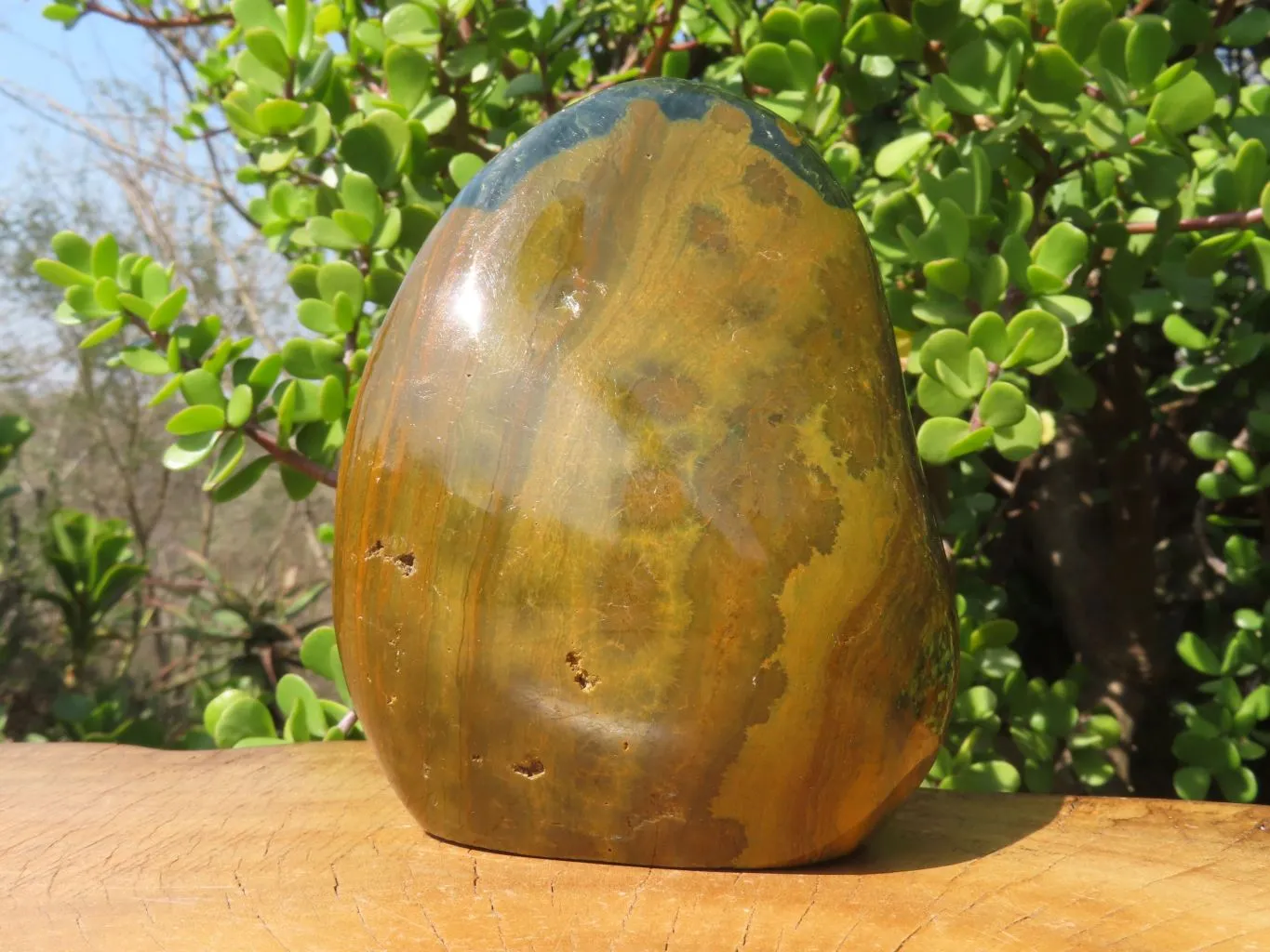 Polished Ocean Jasper Standing Free Form x 1 From Madagascar