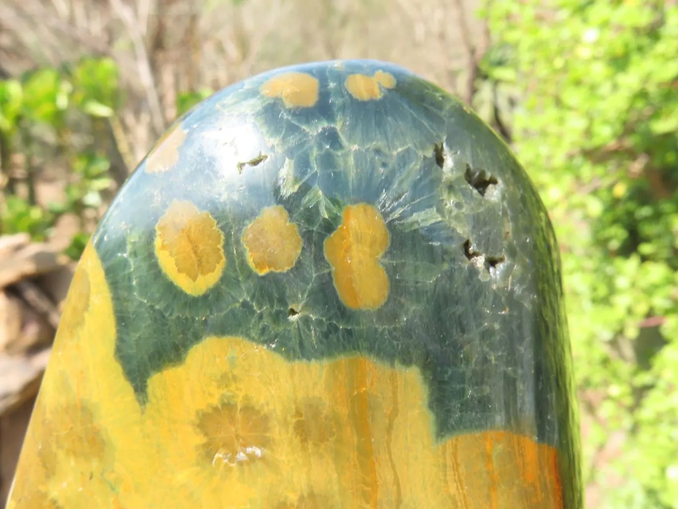 Polished Ocean Jasper Standing Free Form x 1 From Madagascar