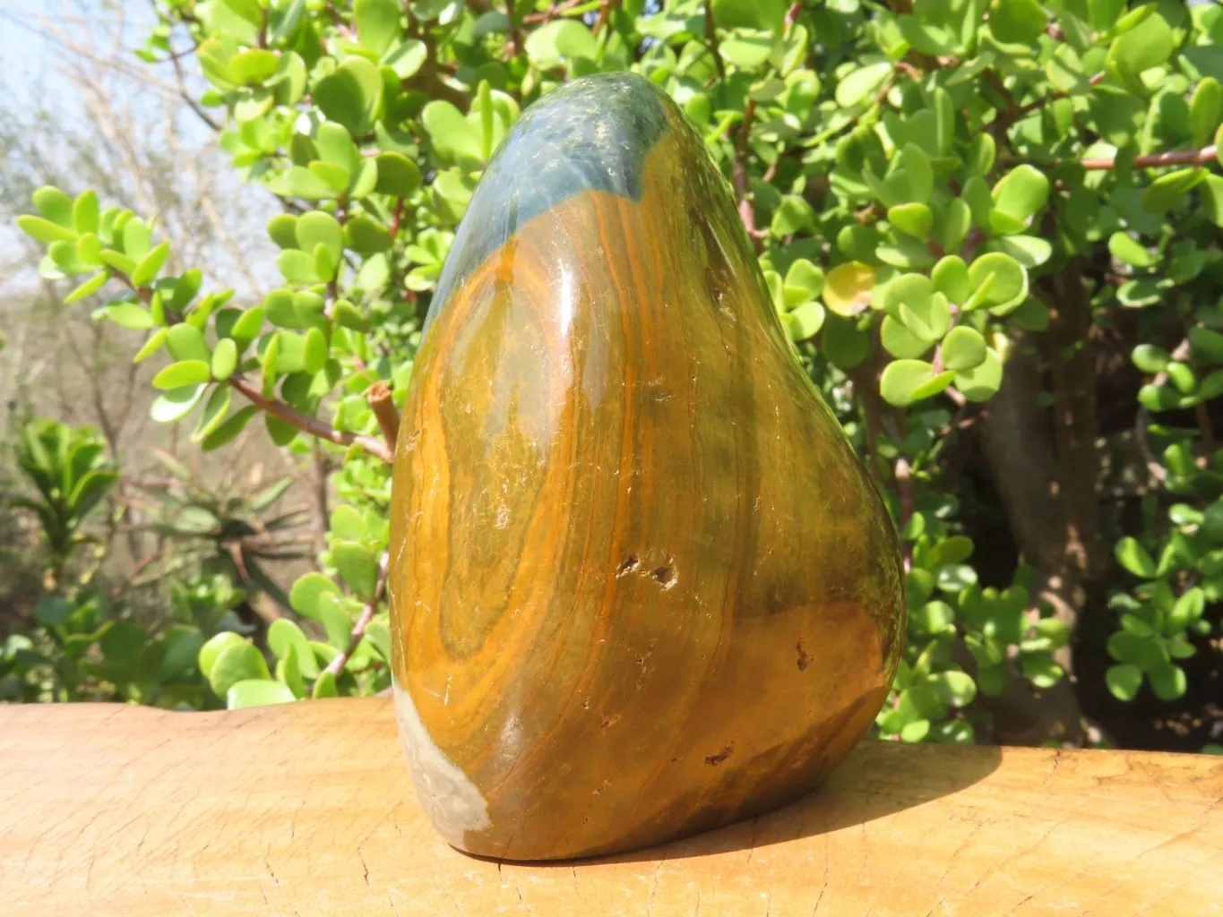 Polished Ocean Jasper Standing Free Form x 1 From Madagascar