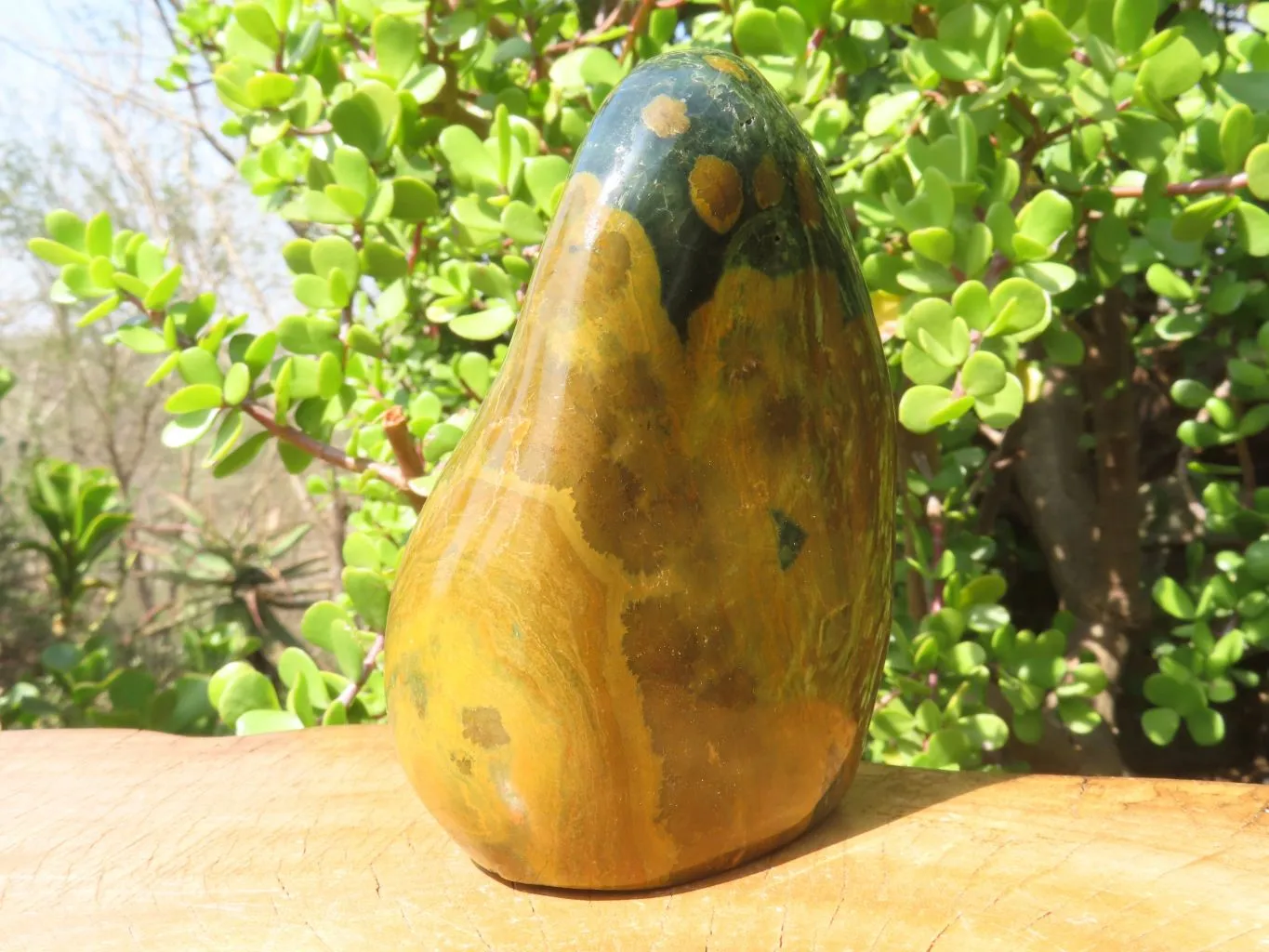 Polished Ocean Jasper Standing Free Form x 1 From Madagascar